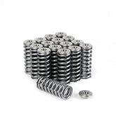 Skunk2 Alpha Series Honda/Acura D Series Valve Spring and Titanium